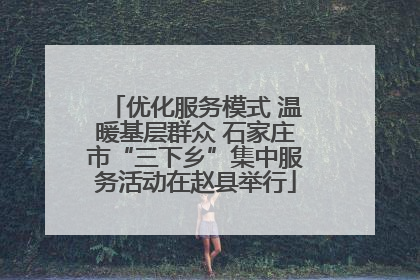 优化服务模式 温暖基层群众 石家庄市“三下乡”集中服务活动在赵县举行